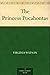 The Princess Pocahontas by 