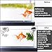 Aquarium Clip -- Ideal for Feeding Grazing Fishes - Holds Veggies, Seaweed Sheets, Betta Bed, Feeding Accessories - Plastic, No Metal Parts - 100% Fish Safe - Includes Strong Suction Cup with Lock