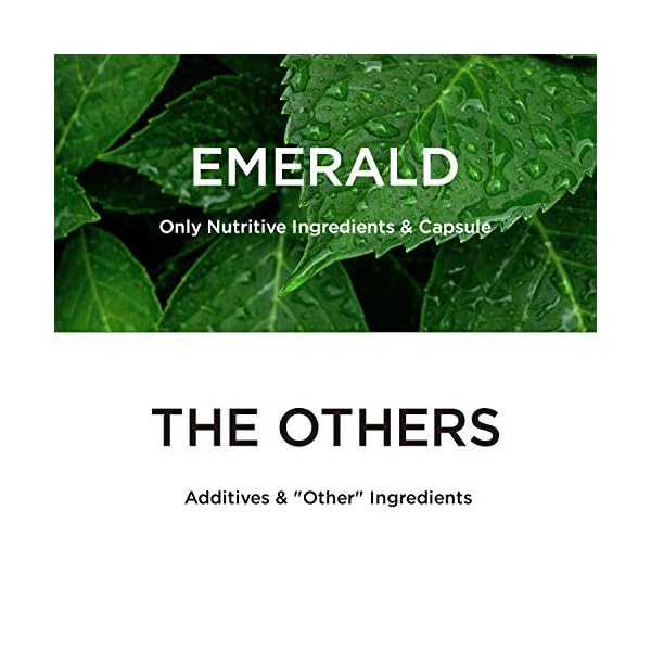 Emerald Labs Adrenal Health Daily Supplement with Sensoril Ashwagandha and Rhodiola Extract