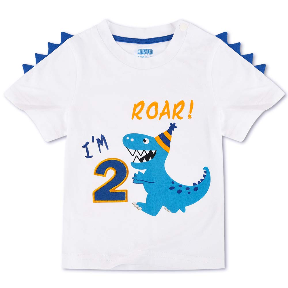 AMZTM Dinosaur Birthday T Shirt - 2nd Birthday Party Supplies Toddler Boys Gift Short Sleeve White T-Shirt 100% Cotton Crew Neck T-Rex Printed Embroidery Graphic Top Tee