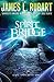 Spirit Bridge (A Well Spring Novel) by James L. Rubart