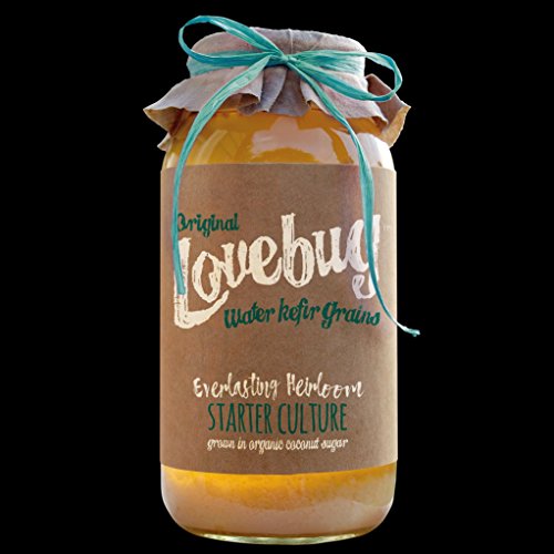image for GIFTER'S PACK OF 6 | Water Kefir Grains by Lovebug | Live Organic Star