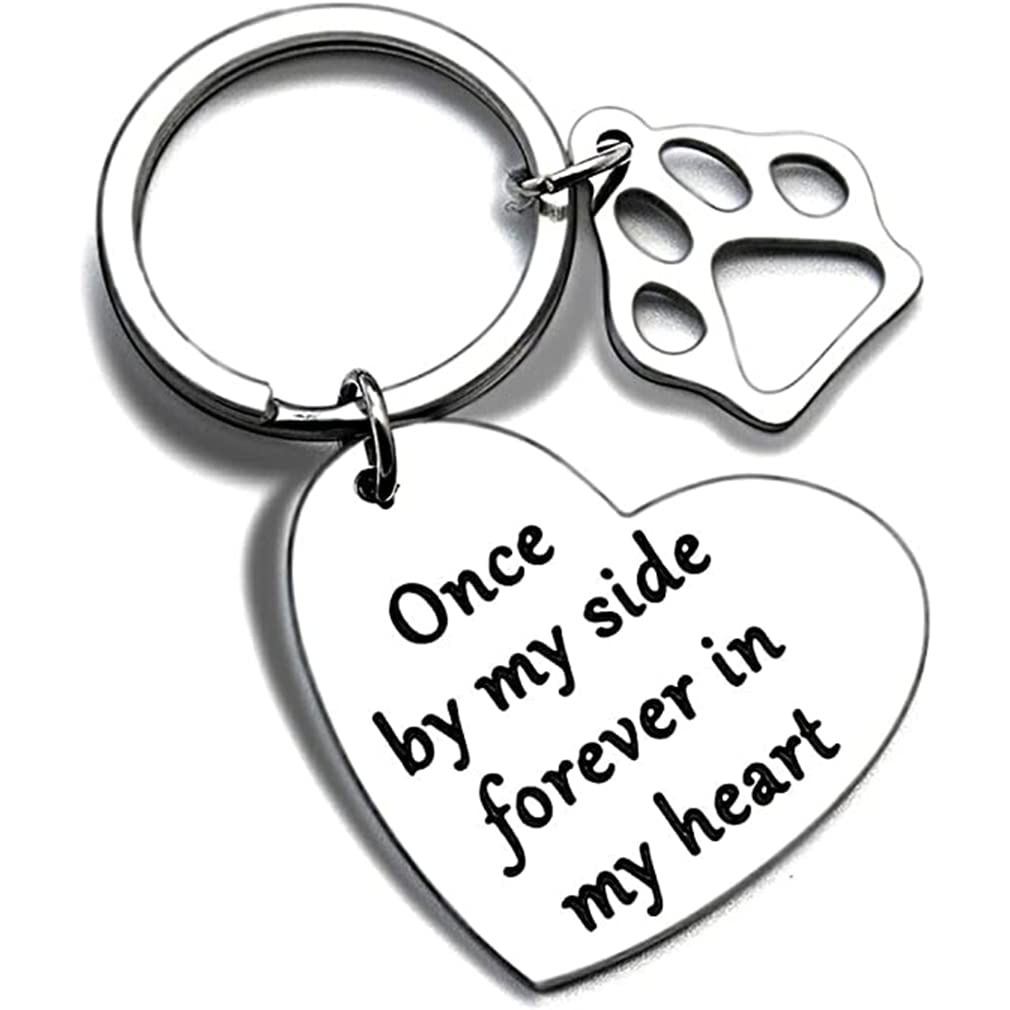 Tecreo Stainless Steel Dog & Heart Shape Floating Keychain for Friends Family, Cat Memorial Key Ring for Men/Women