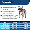 PetSafe-Staywell-Convenient-Original-2-Way-Pet-Door-Fast-Installation-Easy-fitting-2-Way-Locking-Cat-Flap-for-All-Pets--Small-White PetSafe Staywell, Convenient, Original 2 Way Pet Door, Fast Installation, Easy fitting, 2 Way Locking, Cat Flap for All…