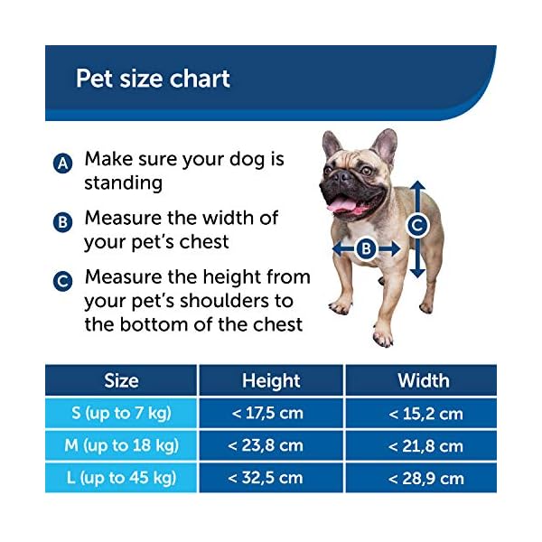 PetSafe-Staywell-Convenient-Original-2-Way-Pet-Door-Fast-Installation-Easy-fitting-2-Way-Locking-Cat-Flap-for-All-Pets--Small-White PetSafe Staywell, Convenient, Original 2 Way Pet Door, Fast Installation, Easy fitting, 2 Way Locking, Cat Flap for All…