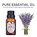 Lavender Essential Oil，Organic Lavender Scented Oil 100% pure Therapeutic Grade Essential Oil 10 ml by Comenzar