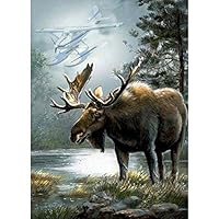 5D Diamond Painting Full Drill,Paint by Number Kits Embroidery Paintings Pictures Arts Craft Deer 11.8x15.7in 1 Pack by SingyaBRA