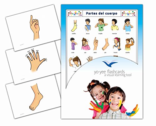 Tarjetas de vocabulario -Partes del cuerpo - Body Parts Flashcards in Spanish
