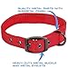 Max and Neo MAX Reflective Metal Buckle Dog Collar - We Donate a Collar to a Dog Rescue for Every Collar Sold (Small, RED)