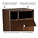 dVault® Full Service Vault DVCS0015 Secure Curbside Mailbox/Package Drop with Locking Letterbox (Copper Vein)