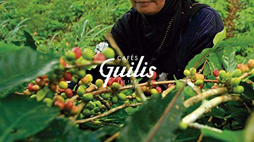 CAFES GUILIS DESDE 1928 AMANTES DEL CAFE Bio-Kaffeekapseln - kompostierbar und biologisch abbaubar - 120 Einheiten – Bild 8