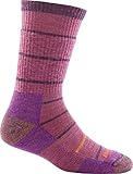 Darn Tough Summit Stripe Cushion Boot Sock - Women's