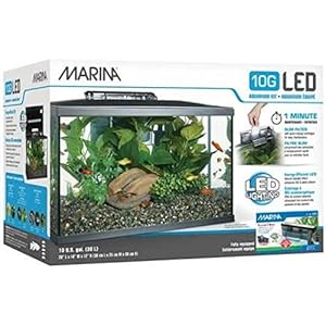 Marina 15256 – Kit de Acuario con Iluminación LED 10G, 38 L, Transparente