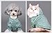 BONDOGLAND Pet Clothes Cute Breathable Puppy Onesies with Bag Soft Cat Vest Short Sleeves Cotton T Shirts Striped for Small Medium Doggie and Cats