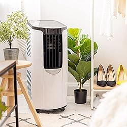 IRIS USA IHP-AC10K 3-in-1 WOOZOO Portable Air