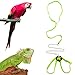 Mokook Adjustable Harness Leash for Parrot African Grey Cockatoo Macaw Ringneck Parakeet Cockatiel and Reptile Lizard Outdoor Walk, Adjustable and Bite Resistant Design, 3.9FT/1.2M
