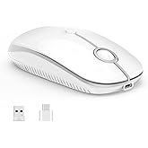 VssoPlor Type C Wireless Mouse, Dual Mode 2.4G Wireless Mouse USB C Cordless Mice with Nano USB and Type C Receiver Compatible with PC, Laptop, MacBook and All Type C Devices-White Silver