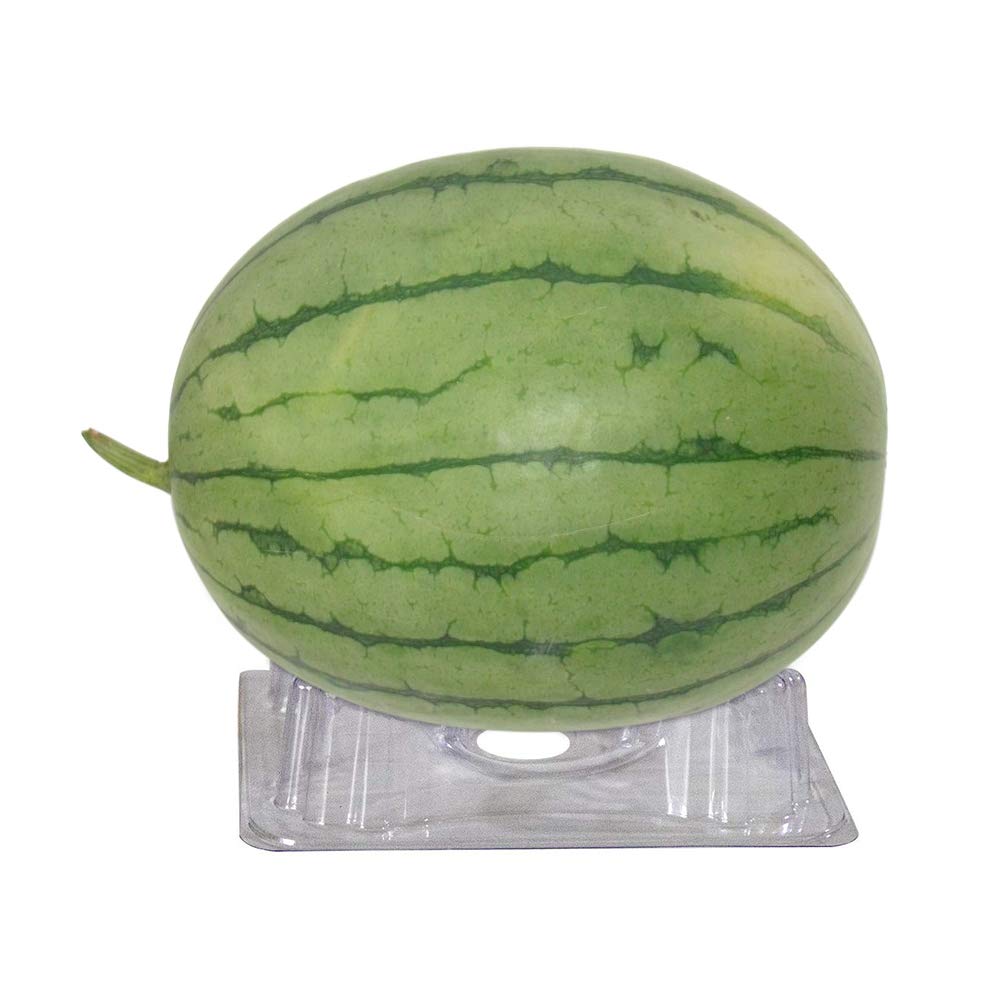 GoodFaith Soporte de plástico para melón, 24 bandejas de soporte ...