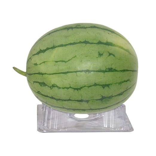 FGASAD Soporte de plástico para melón, Soporte de jardín, Jaula ...
