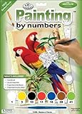Royal & Langnickel Painting by Numbers Junior Small Art Activity Kit, Bamboo Parrots