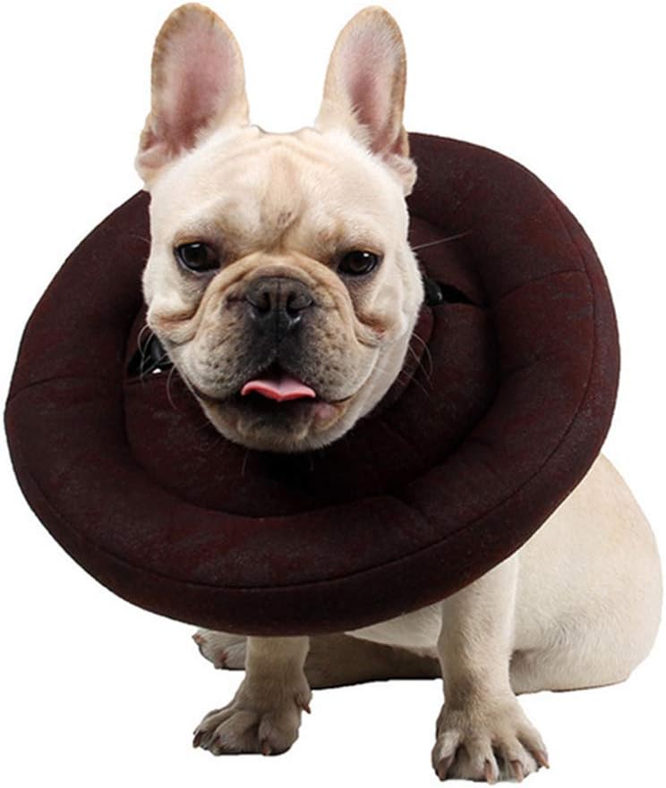 e collar for french bulldog