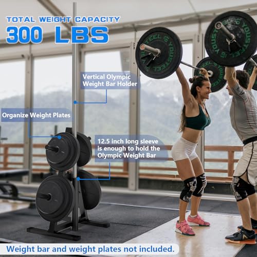 A-Frame Weight Plate Tree for 1