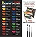 Acrylic paint set 24 colors for Artists. Brush set. Paint kit for Canvas, Rocks, Wood, Ceramic, Fabric, Crafts. Non-Toxic & Vibrant-Perfect for Adults, Kids, Beginners, students. Rich Pigment & qualit