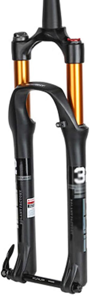 100mm travel 29er fork