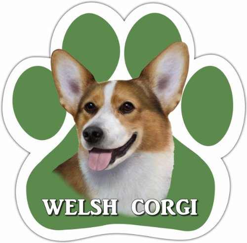Welsh Corgi Car Magnet With Unique Paw Shaped Design Measures 5.2 by 5.2 Inches Covered In UV Gloss For Weather Protection