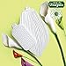 Flower Pro Calla Lily & Tulip Leaf Silicone Mold & Veiner Set for Cake Decorating & Clay Crafts by Katy Sue Molds & Flower Pro Molds. Use with Fondant, Sugar Paste & Air Dry Clay