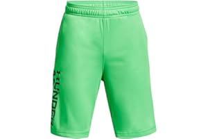 Under Armour Prototype 2.0 Wordmark Boys Shorts