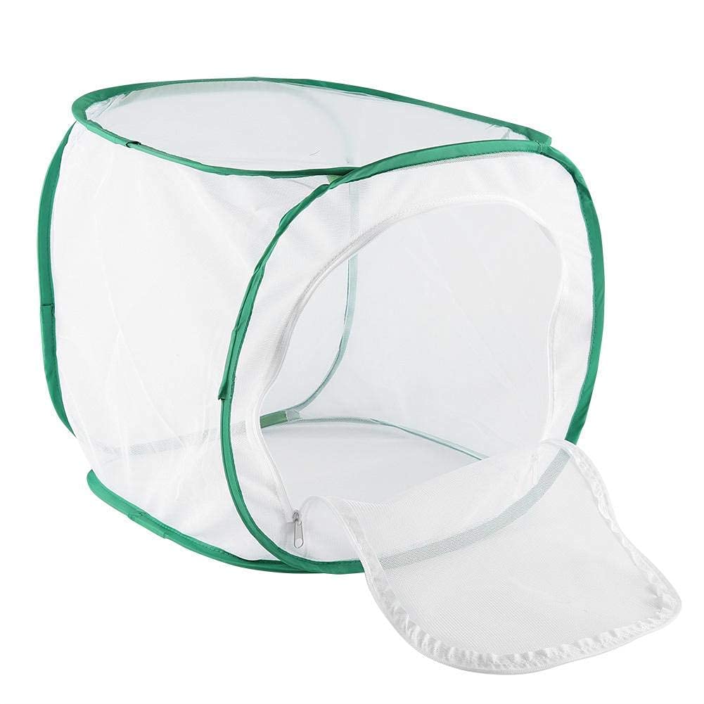 Large Butterfly Cage,Collapsible Caterpillar Habitat Collapsible Insect and Butterfly Habitat Mesh Cage with Zipper Butterfly House(30 * 30 * 30cm)