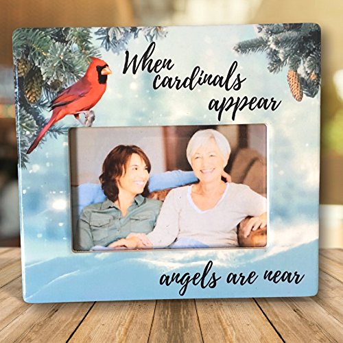 Cardinal Picture Frames Kritters in the Mailbox Cardinal Picture Frame