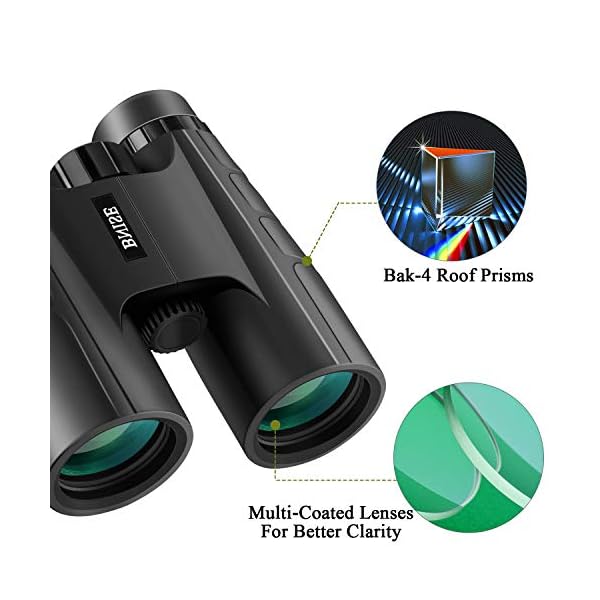 BNISE Ferngläser, Fernglas Kompakt, 10X42 HD, vogelbeobachtung BAK4 Prism FMC, Geeignet für Vogelbeobachtung, Jagd und… – Bild 5