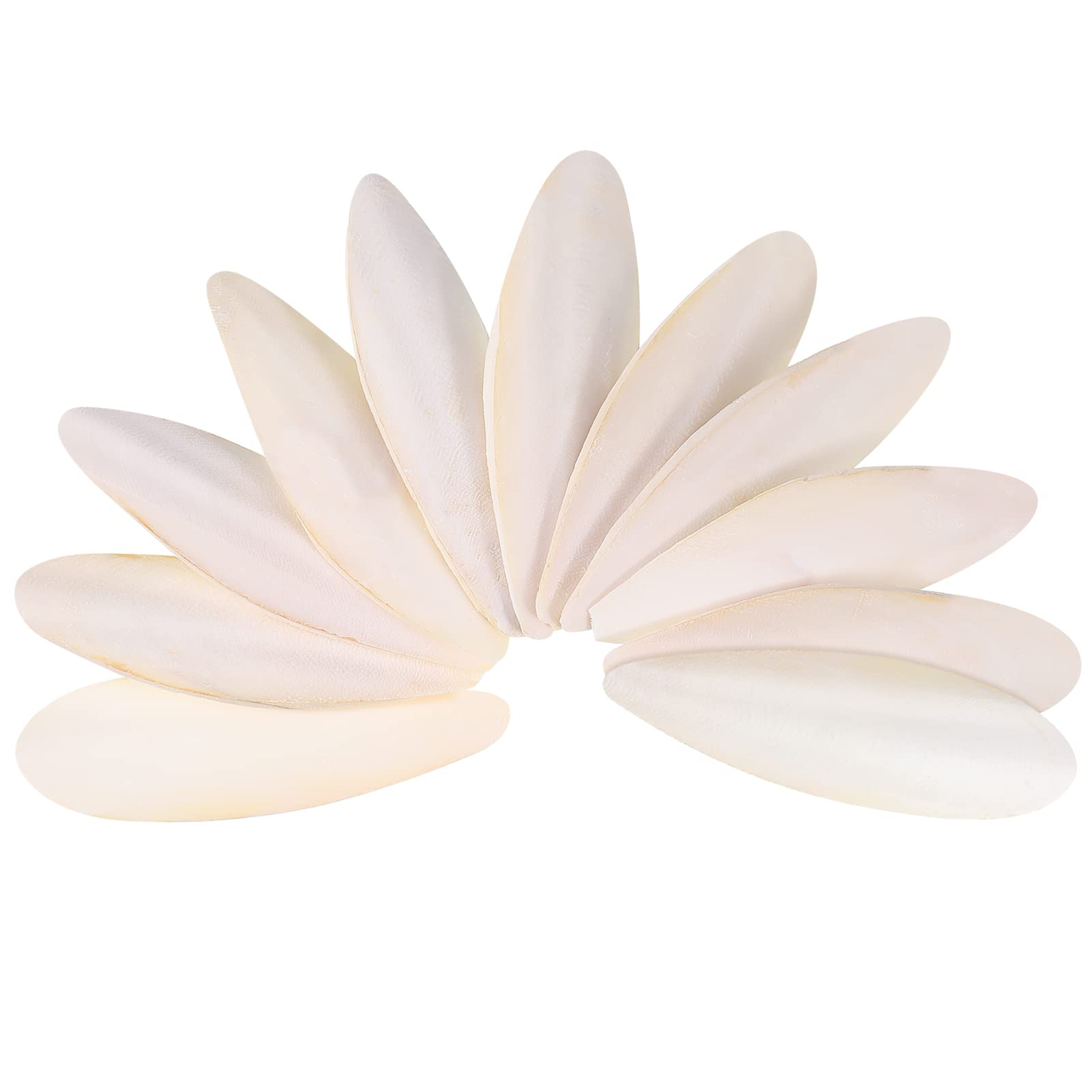 Popuppe 11pcs Cuttlefish Bone,8-10cm Cuttlebone Chewing Toys for Parrots Birds Reptiles Tortoises Snails