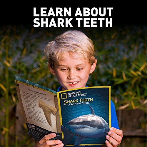 5 NATIONAL+GEOGRAPHIC+Shark+Tooth+Dig