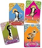 Cat Yoga Postcards by 