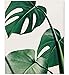 Tropical Leaf Print Botanical Print Palm Print Monstera Art Green Plant Prints Leaf Photography Leaf Print Green Plant Print Tropical Art Print Green Leaves Art Bohemian Art Boho Art 8x10
