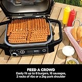 Ninja Woodfire Electric BBQ Grill & Smoker 7 in 1 Outdoor Grill Air Fryer view 15