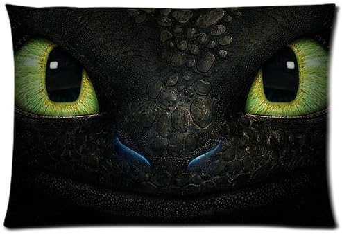 Girls Boys Pillowcases Pillows Covers Cases Bedroom Decor How to Train Your Dragon Night Fury Face Decoration Rectangle Two Sides Printed 20x30 Hotel,Cafe,Car,Sofa Throw Pillow Case Cushion Cover