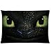 Girls Boys Pillowcases Pillows Covers Cases Bedroom Decor How to Train Your Dragon Night Fury Face Decoration Rectangle Two Sides Printed 20x30 Hotel,Cafe,Car,Sofa Throw Pillow Case Cushion Cover