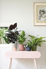 elho Vibes Fold Round 16 Plant Pot 100% Recycled Plastic Green Ø16.1 x H14.8 cm view 7