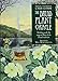 Druid Plant Oracle: Working with the Magical Flora of the Druid Tradition by 