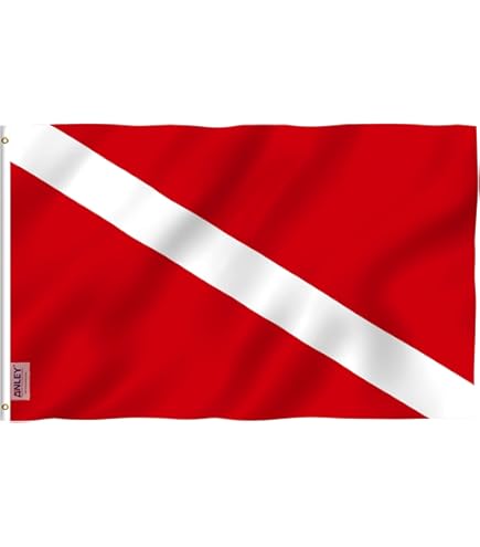Amazon.com : DMSE Diver Down Scuba Diving Flag 3X5 Ft Foot 100