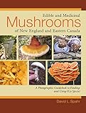 Edible and Medicinal Mushrooms of New England and Eastern Canada: A Photographic Guidebook to Finding and Using Key Species