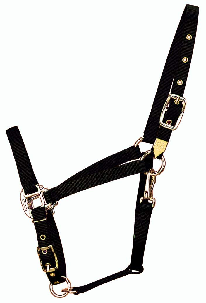 Hamilton 8DAS AVBK 3/4-Inch Nylon Arabian Horse Halter for 800 to 1100-Pound Horse, with Adjustable Chin and Throat Snap, Black