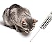Cat Catch the Led Interactive LED Light Pointer 2 in 1 Laser & White LED(Pack of 2)