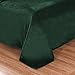 Exclusivo Mezcla Fleece Blanket Queen Size for Bed, Super Soft and Warm, All Season Use, Cozy, Plush, Lightweight, 90x90 Inches, Forest Green