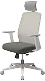 SIDIZ T40 SE Ergonomic Office Chair : Comfortable
