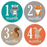 Pinkie Penguin Woodland Animals Baby Monthly Stickers - Milestone Onesie Stickers - Baby Boy - 1-12 Months - Baby Shower Gift